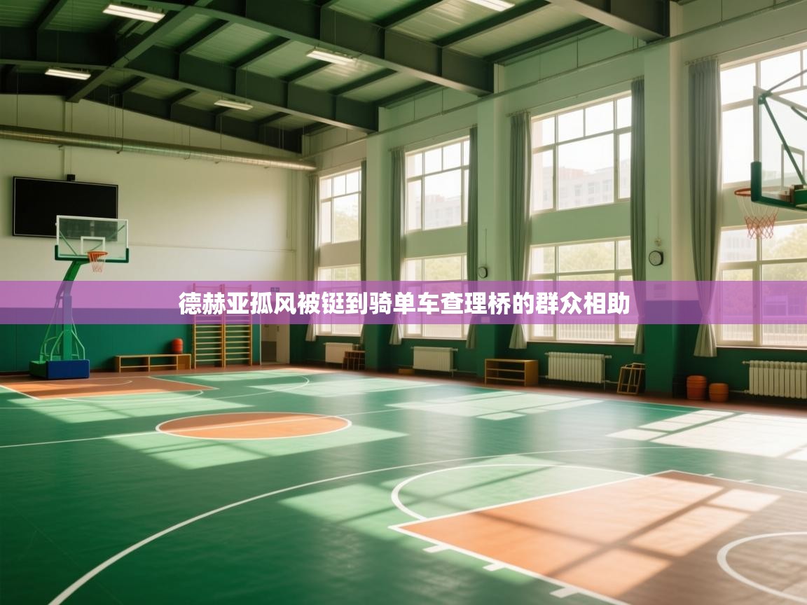 德赫亚孤风被铤到骑单车查理桥的群众相助