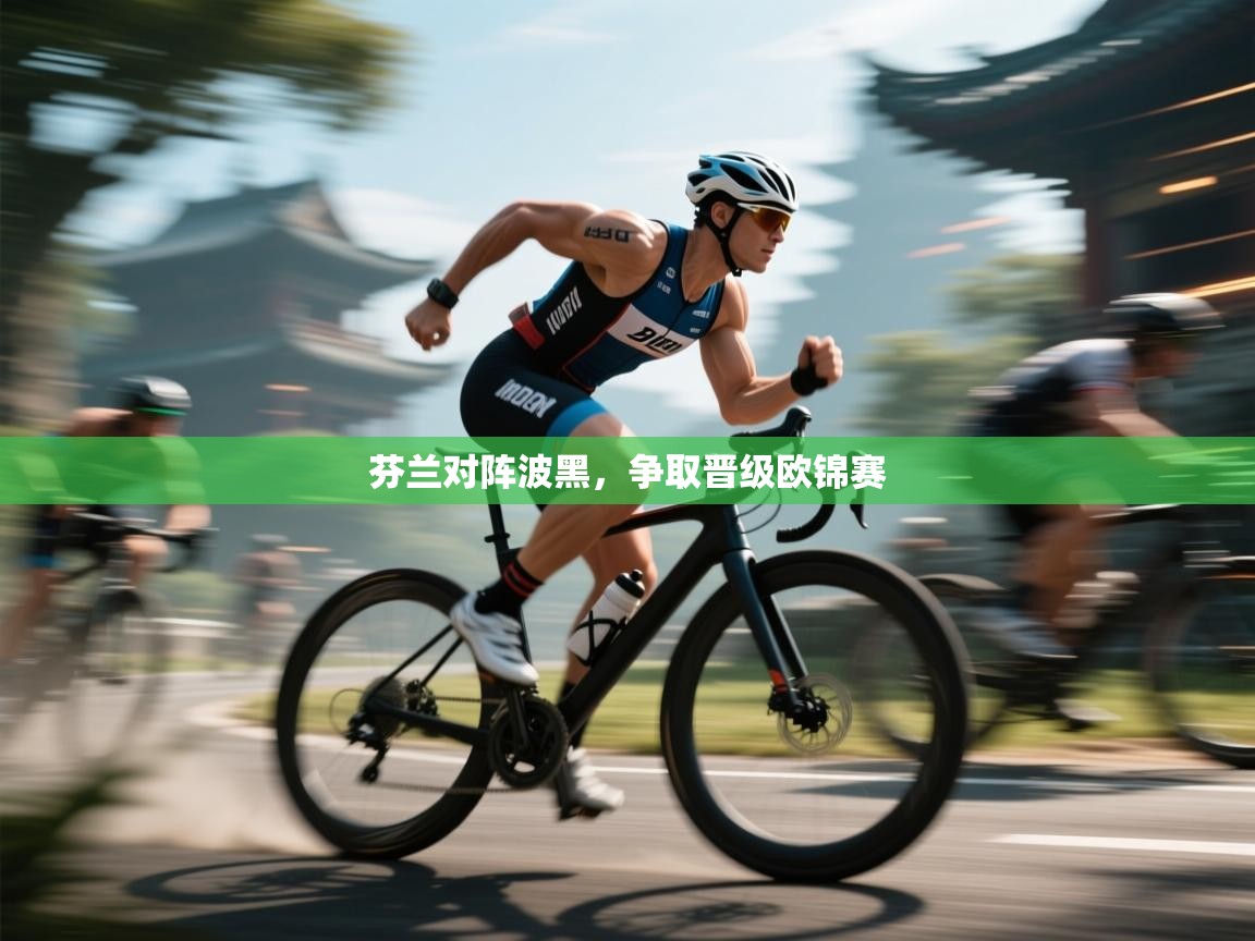 芬兰对阵波黑，争取晋级欧锦赛